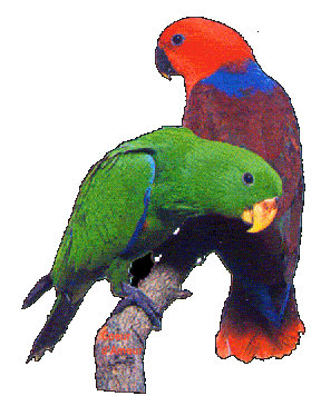 Bonjour tous